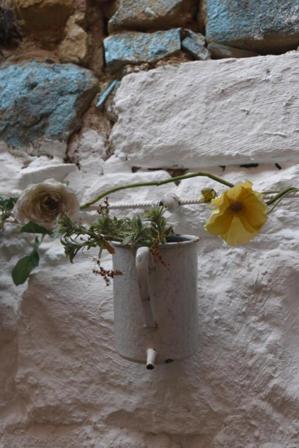 Maison Momes Bize-Minervois Buitenkant foto